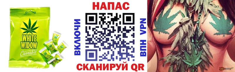 где продают наркотики  Светогорск  Еда ТГК марихуана 