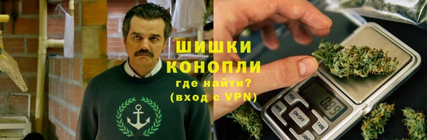 PSILOCYBIN Снежногорск