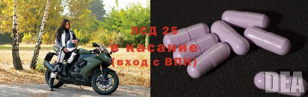 дживик Беломорск