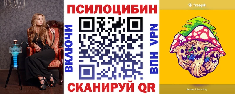 хочу наркоту  Светогорск  Псилоцибиновые грибы Psilocybine cubensis 